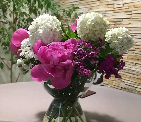 Apartment Poarta Ecaterina